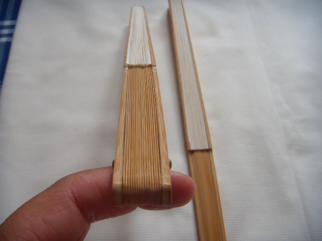 DSCN5528.JPG