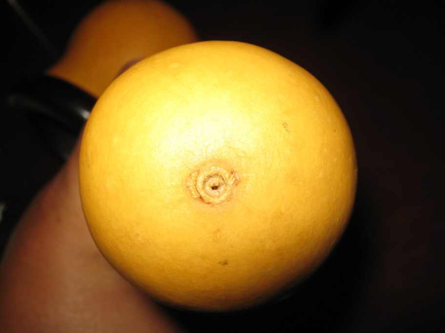 08.jpg