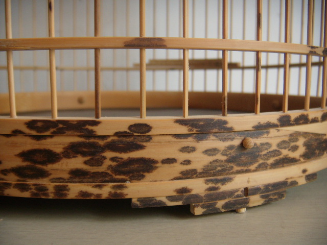 DSCN5760.JPG
