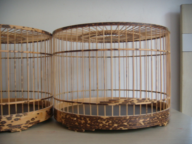 DSCN5662.JPG