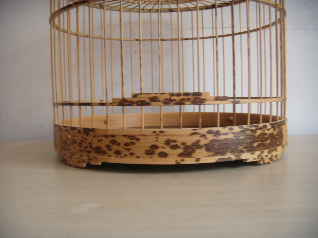 DSCN5690.JPG