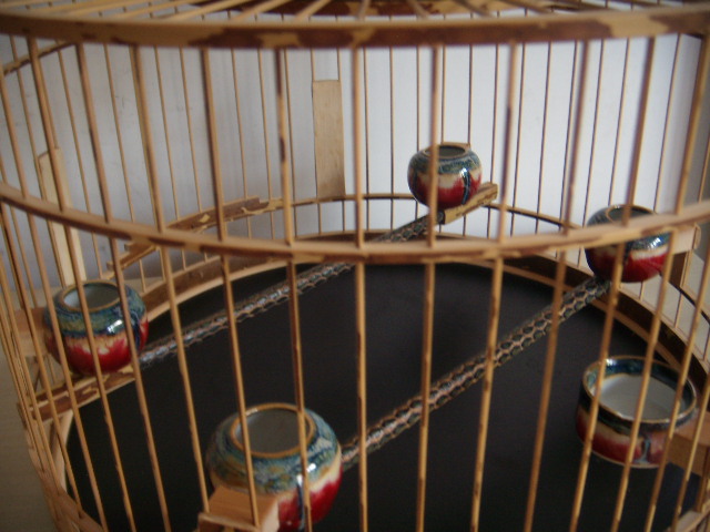 DSCN5614.JPG
