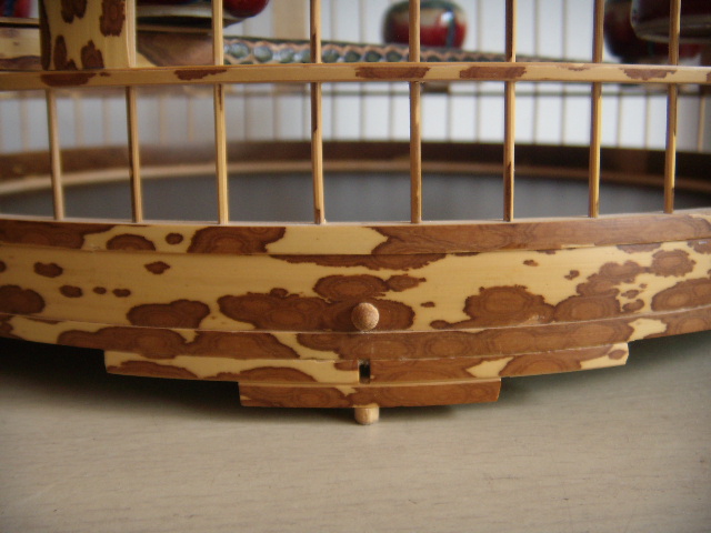 DSCN5613.JPG