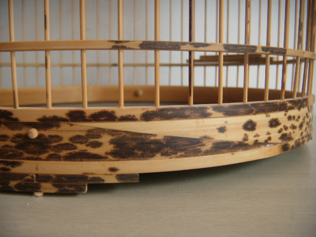 DSCN5759.JPG