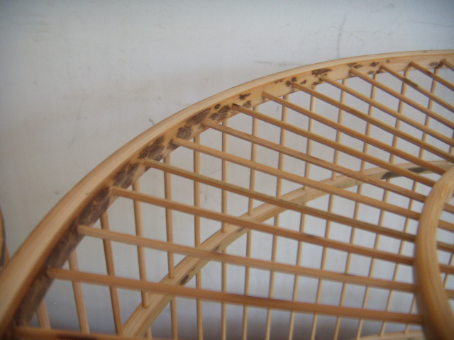DSCN5663.JPG
