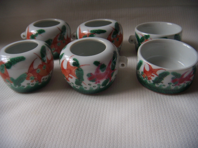 DSCN5568.JPG