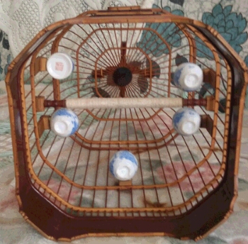1499485326480.jpg