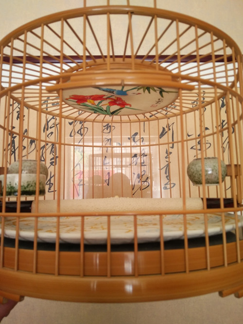 IMG_20170517_113818_副本.jpg