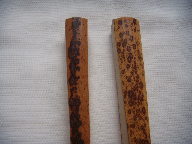 DSCN5826.JPG