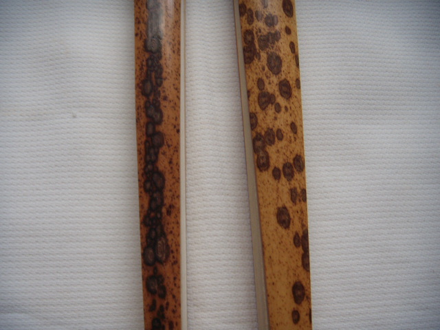 DSCN5824.JPG
