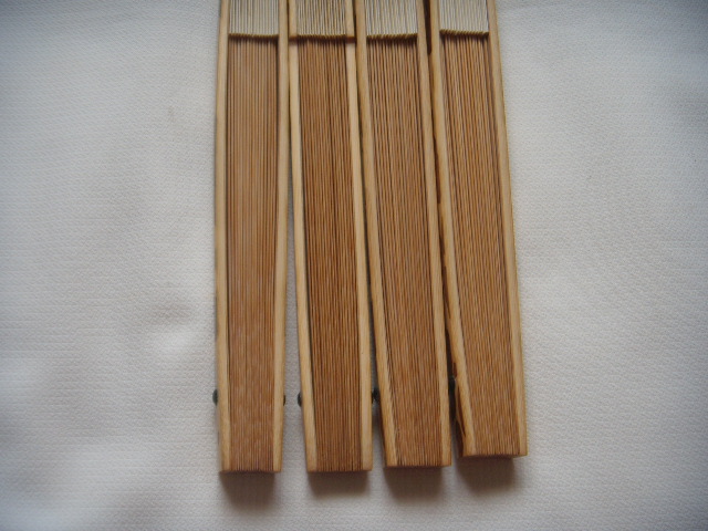 DSCN5539.JPG