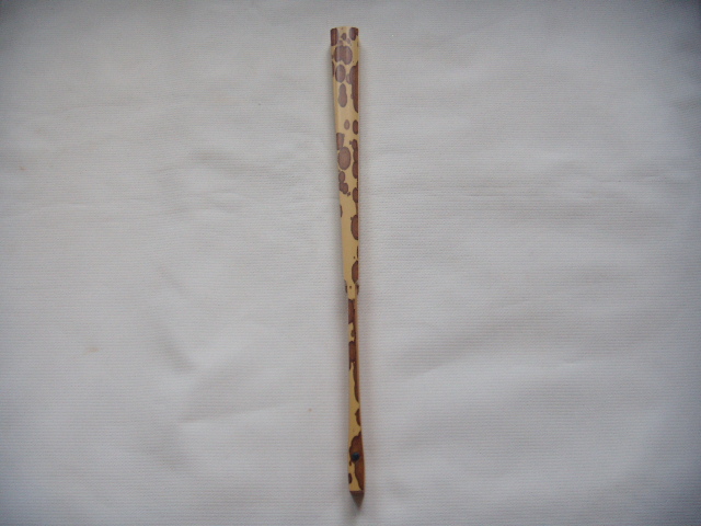 DSCN5960.JPG