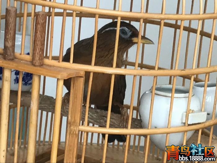 QQ图片20170808161003.jpg