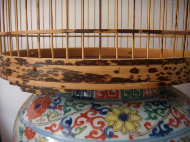 DSCN6186.JPG