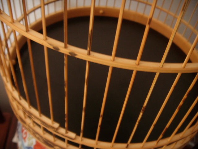 DSCN6194.JPG