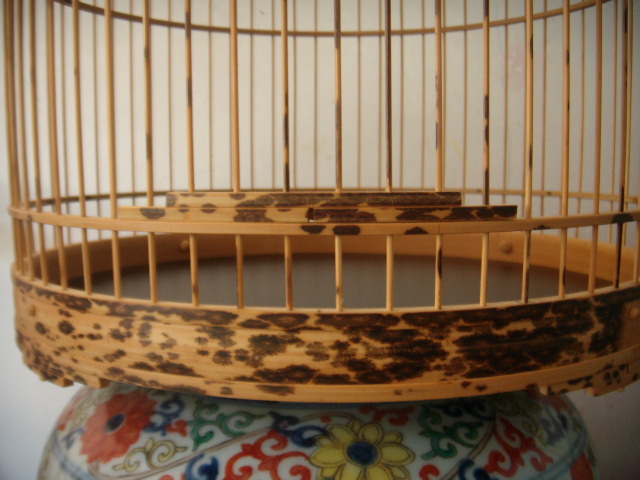 DSCN6185.JPG