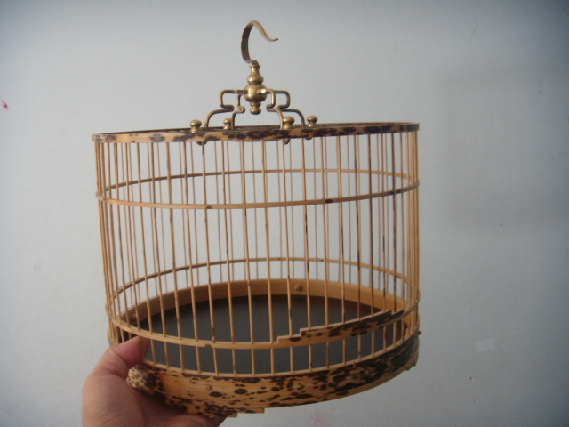 DSCN6195.JPG
