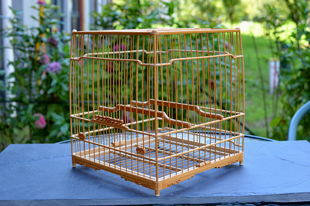DSC_0707.jpg