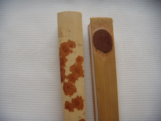 DSCN6439.JPG