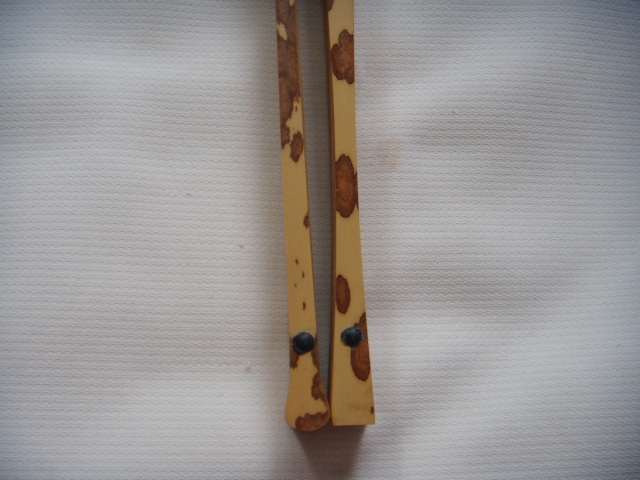 DSCN6132.JPG