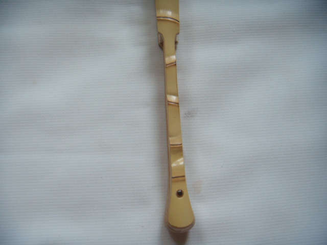 DSCN6162.JPG
