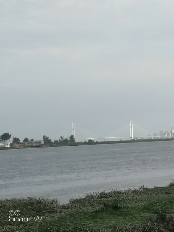 IMG_20170730_162341.jpg