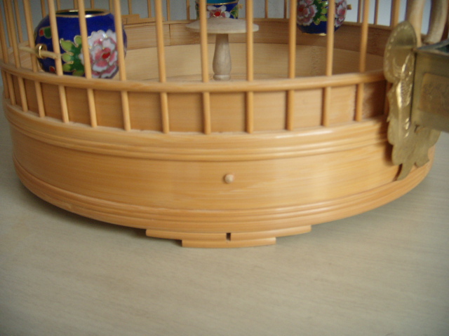 DSCN6681.JPG