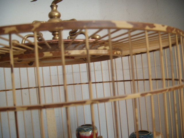 DSCN6767.JPG