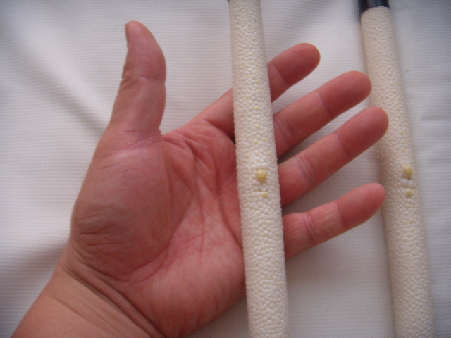 DSCN6819.JPG