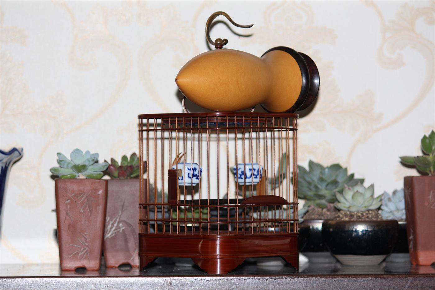 IMG_7250_看图王(1).jpg
