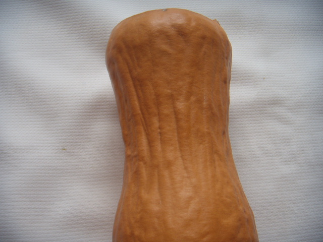 DSCN6666.JPG