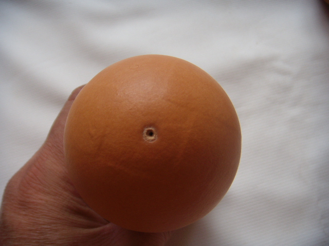 DSCN6659.JPG