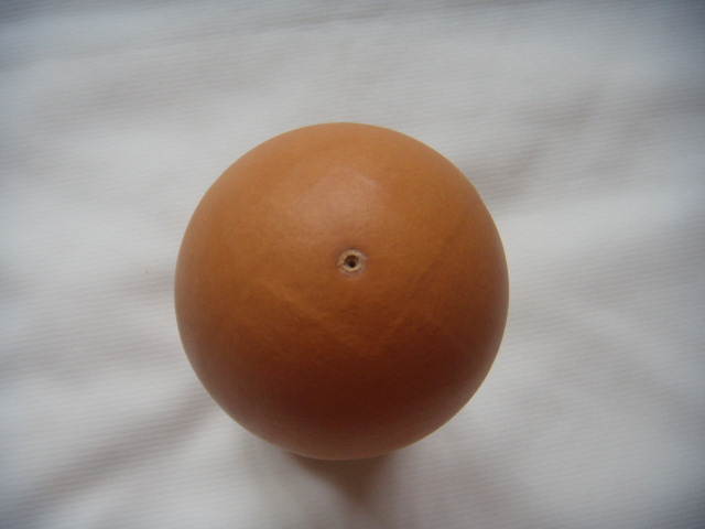 DSCN6927.JPG