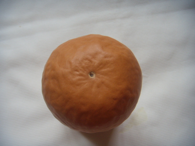 DSCN6920.JPG