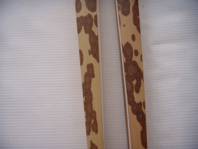 DSCN6808.JPG