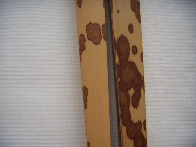 DSCN6634.JPG