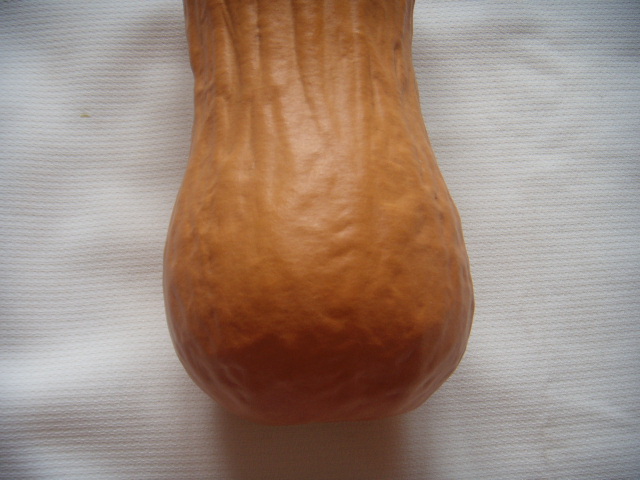 DSCN6667.JPG