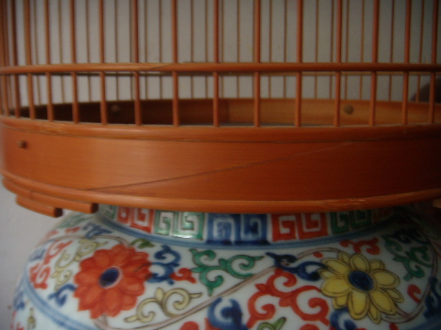 DSCN7494.JPG