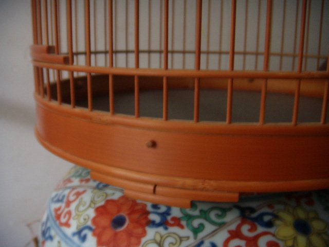 DSCN7497.JPG