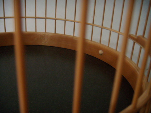 DSCN7222.JPG