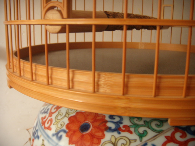 DSCN7521.JPG