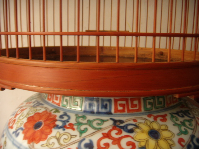 DSCN7698.JPG