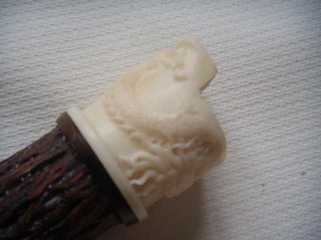 DSCN7155.JPG