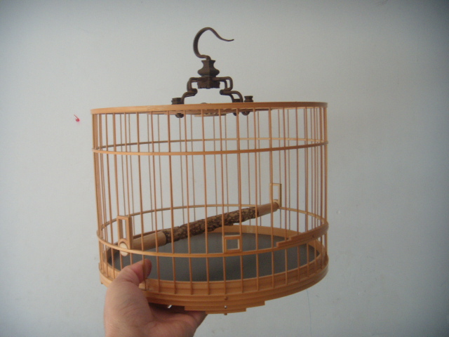 DSCN7522.JPG