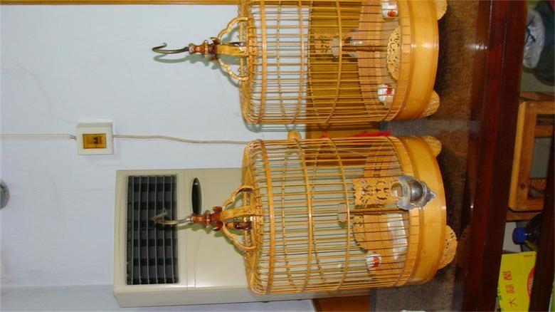 DSC05297.JPG