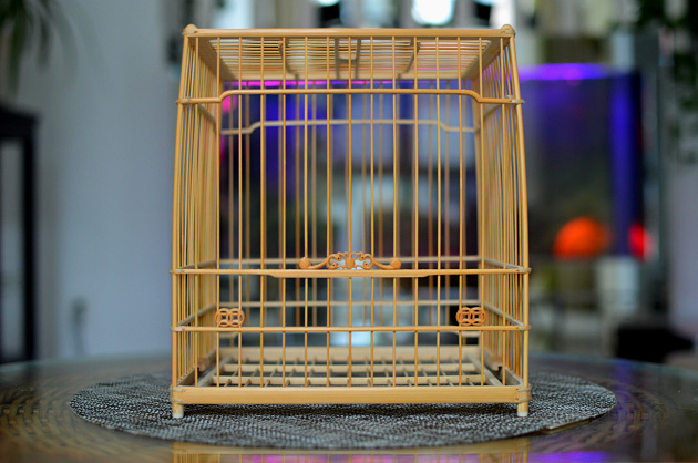 DSC_0784.jpg