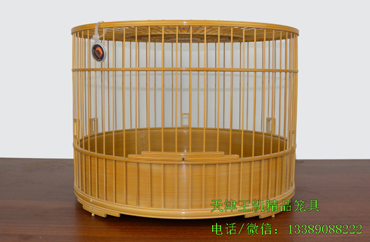 DSCN7768.JPG