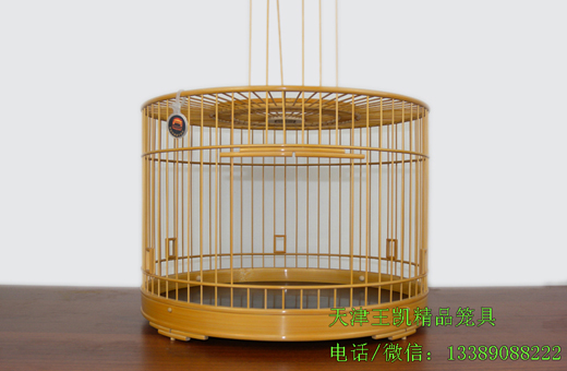 DSCN7698.JPG