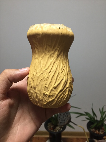 f326.jpg