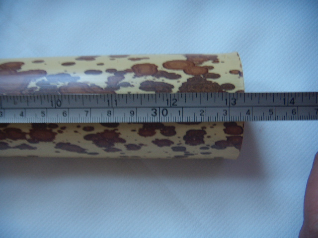 DSCN7796.JPG